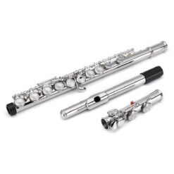 Gray 16 Holes C Key Colored Flute Nickel Plated Silver Tube Woodwind Instrument with Box