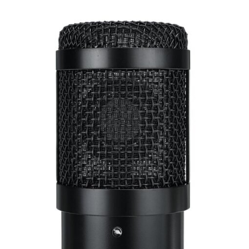 Dark Slate Gray BM800 Condenser Microphone Studio Vocal Recording Mic Mount Boom Stand Kit Set (A)