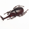 Simulation Beetle Model Unicorn Stag Beetle with Halberd Ares - Toys Ace