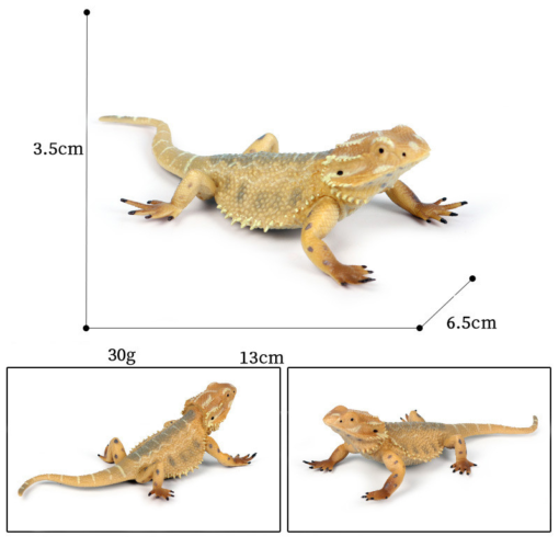 Children'S Cognitive Amphibian Solid Model Decoration - Toys Ace