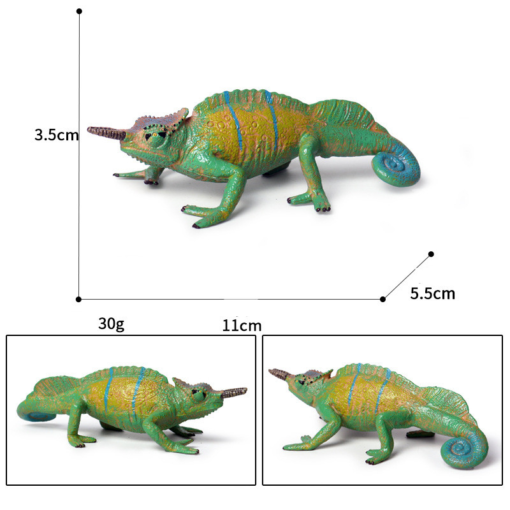 Children'S Cognitive Amphibian Solid Model Decoration - Toys Ace