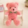 Light Coral Colorful bear plush toy bear doll doll machine Tactic catch children throwing wedding gift wholesale company