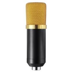 Goldenrod BM700 Microphone Condenser Sound Recording Microphone With Shock Mount For Radio Braodcasting Singing Recording KTV Karaoke Mic