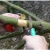 Rosy Brown Garden Grafting Cut Tool Kit Fruit Tree Stainless Steel Pruning Shears Scissor