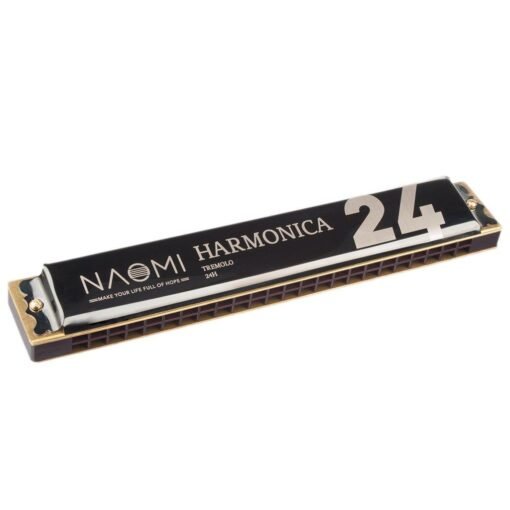 Dark Slate Gray NAOMI 24 Holes Tremolo Harmonica Key of C Stainless Steel Mouth Organ Harmonicas with Case