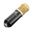 Dim Gray GAM-800 Green Audio Condenser Microphone Kit for Karaoke Living Recoarding with Phantom Power