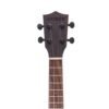 Dark Slate Gray Andrew 23 Inch Acacia High Molecular Carbon String Log Color Ukulele for Guitar Player