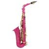 SLADE LD-896 E-flat Brass Pipe Alto Saxophone with Bag Clean Tools