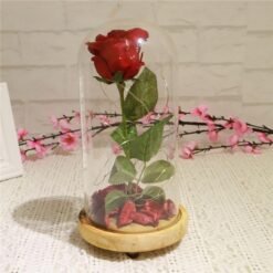 Red Forever Rose Glowing Flower Immortal Fresh Rose in Glass Mother's day Decoration Toys