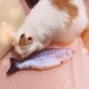Simulation Electric Fish Cat Toy USB Charging Indoor Toys Tricky Toy - Toys Ace