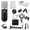 Dark Slate Gray GAM-800 Green Audio Condenser Microphone Kit for Karaoke Living Recoarding with Phantom Power