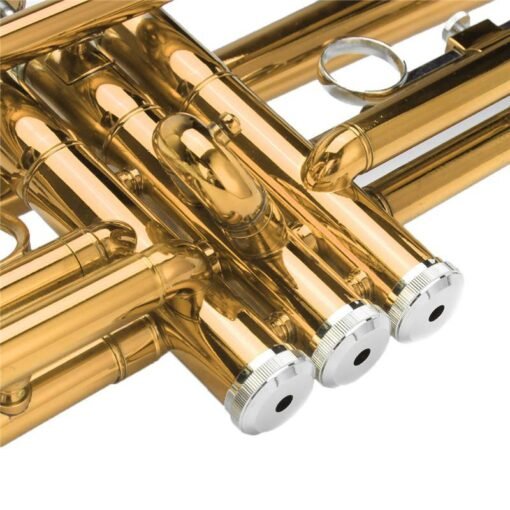 Saddle Brown Bb Beginner Trumpet Brass Band Gold Plated Care Kit Case in Gold Silver Red Blue Black